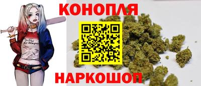 прущие крисы Малгобек