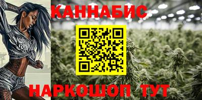 прущие крисы Малгобек