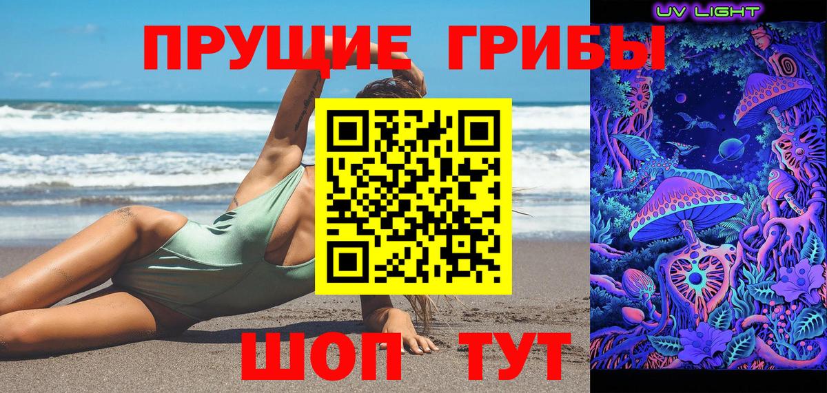 Галлюциногенные грибы Psilocybe Верхняя Салда